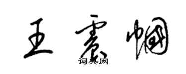 梁錦英王震幗草書個性簽名怎么寫