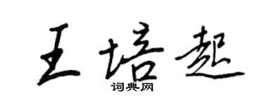 王正良王培起行書個性簽名怎么寫