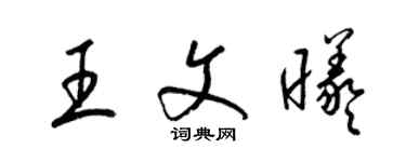 梁錦英王文曦草書個性簽名怎么寫