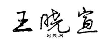 曾慶福王曉宣行書個性簽名怎么寫