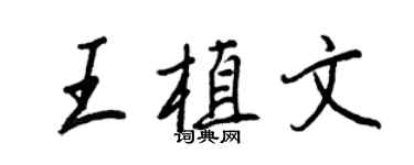 王正良王植文行書個性簽名怎么寫