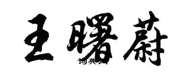 胡問遂王曙蔚行書個性簽名怎么寫