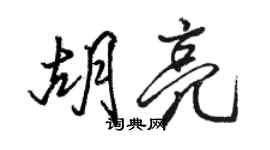 駱恆光胡亮行書個性簽名怎么寫