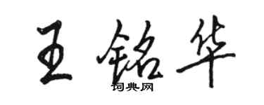 駱恆光王銘華行書個性簽名怎么寫