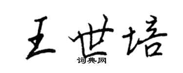 王正良王世培行書個性簽名怎么寫