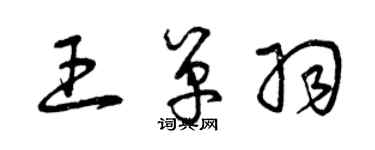 曾慶福王單羽草書個性簽名怎么寫