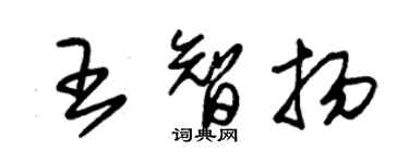 朱錫榮王智揚草書個性簽名怎么寫