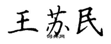 丁謙王蘇民楷書個性簽名怎么寫