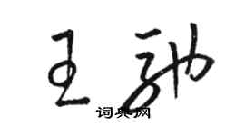 駱恆光王馳草書個性簽名怎么寫