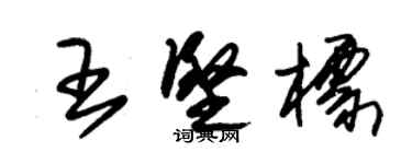 朱錫榮王堅標草書個性簽名怎么寫