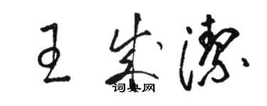 駱恆光王成潔草書個性簽名怎么寫