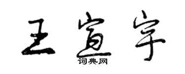 曾慶福王宣宇行書個性簽名怎么寫