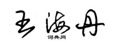 朱錫榮王海丹草書個性簽名怎么寫