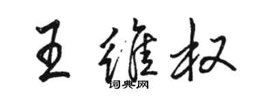 駱恆光王維權行書個性簽名怎么寫