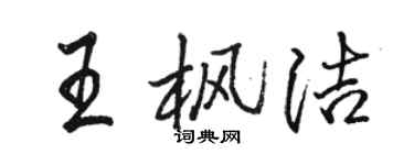 駱恆光王楓潔行書個性簽名怎么寫