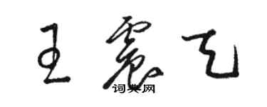 駱恆光王震天草書個性簽名怎么寫