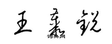 梁錦英王叢銳草書個性簽名怎么寫