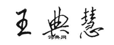 駱恆光王典慧行書個性簽名怎么寫