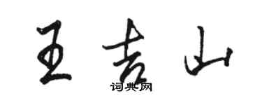 駱恆光王吉山行書個性簽名怎么寫