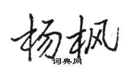 駱恆光楊楓行書個性簽名怎么寫