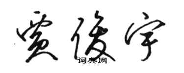駱恆光賈俊宇草書個性簽名怎么寫