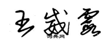 朱錫榮王威霞草書個性簽名怎么寫