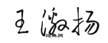 駱恆光王激揚草書個性簽名怎么寫