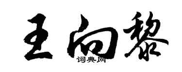 胡問遂王向黎行書個性簽名怎么寫