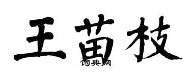 翁闓運王苗枝楷書個性簽名怎么寫