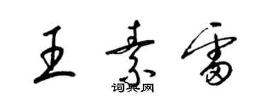 梁錦英王素雷草書個性簽名怎么寫