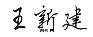 駱恆光王新建行書個性簽名怎么寫