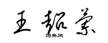 梁錦英王超蘭草書個性簽名怎么寫