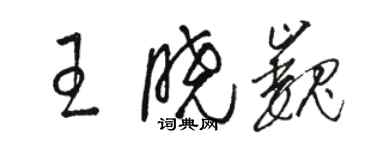 駱恆光王曉巍草書個性簽名怎么寫