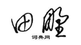 駱恆光田野草書個性簽名怎么寫