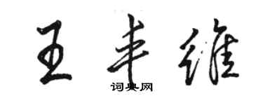 駱恆光王豐維行書個性簽名怎么寫