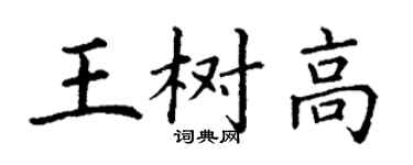 丁謙王樹高楷書個性簽名怎么寫