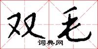 雙毛怎么寫好看