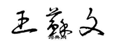 曾慶福王蘇文草書個性簽名怎么寫