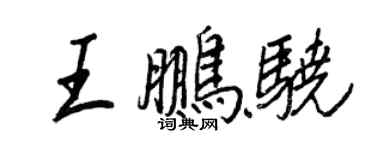 王正良王鵬驍行書個性簽名怎么寫