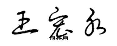 曾慶福王宏水草書個性簽名怎么寫