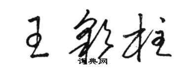 駱恆光王彩柱草書個性簽名怎么寫