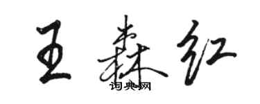 駱恆光王森紅行書個性簽名怎么寫