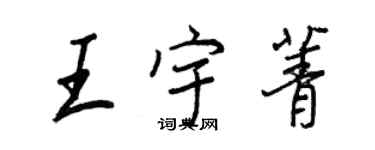 王正良王宇菁行書個性簽名怎么寫