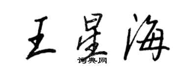 王正良王星海行書個性簽名怎么寫