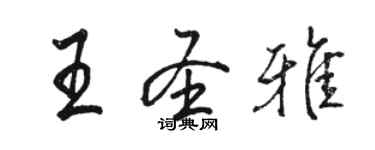 駱恆光王聖雅行書個性簽名怎么寫