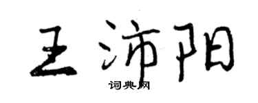 曾慶福王沛陽行書個性簽名怎么寫