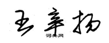 朱錫榮王辛揚草書個性簽名怎么寫