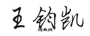 駱恆光王鈞凱行書個性簽名怎么寫