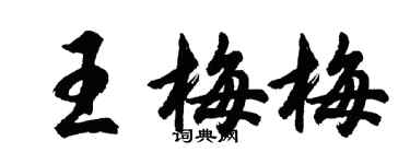 胡問遂王梅梅行書個性簽名怎么寫