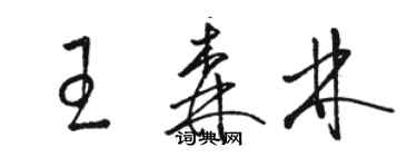 駱恆光王森林草書個性簽名怎么寫